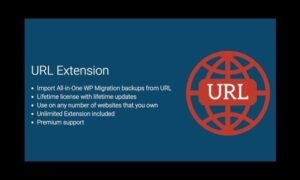 All In One WP Migration URL Extension GPL