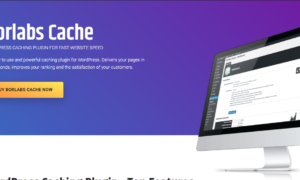 Borlabs Cache WordPress Caching Plugin GPL