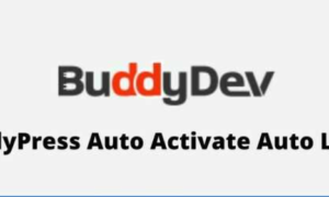 BuddyPress Auto Activate Auto Login GPL