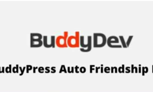 BuddyPress Auto Friendship Pro GPL