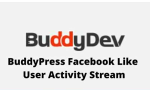 BuddyPress Facebook Like User Activity Stream GPL