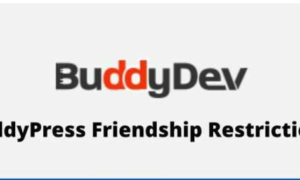 BuddyPress Friendship Restrictions GPL