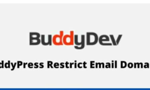 BuddyPress Restrict Email Domains GPL