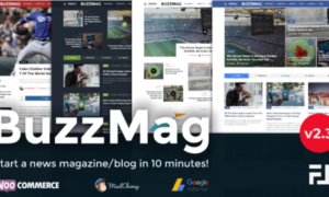 BuzzMag Theme GPL - Viral News WordPress Magazine/Blog Theme