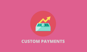 Custom Payment Gateway Pro GPL – Extension for WooCommerce