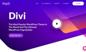 Divi WordPress Theme Latest Version