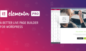 Elementor Pro GPL