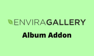 Envira Gallery Albums Addon GPL