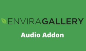 Envira Gallery Audio Addon GPL