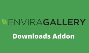 Envira Gallery Downloads Addon GPL