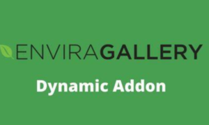 Envira Gallery Dynamic Addon GPL