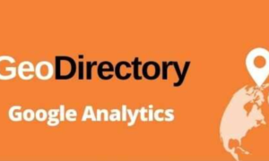 GeoDirectory Google Analytics Addon GPL