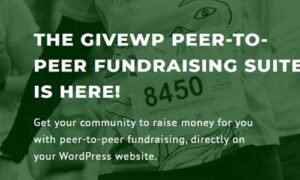 GiveWP Peer-to-Peer Addon GPL