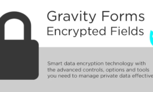 Gravity Forms Encrypted Fields Addon GPL