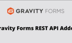 Gravity Forms REST API Addon GPL