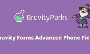 Gravity Perks Advanced Phone Field Addon GPL