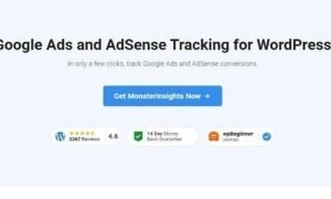 MonsterInsights Ads Tracking Addon GPL