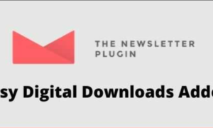 Newsletter Easy Digital Downloads Addon GPL