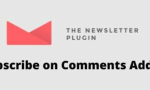 Newsletter Subscribe on Comments Addon GPL