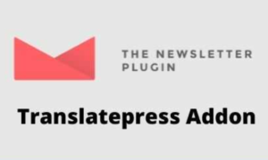 Newsletter Translatepress Addon GPL