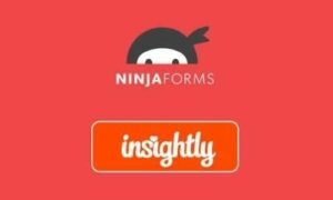 Ninja Forms Insightly CRM Extension GPL