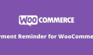 Payment Reminder for WooCommerce GPL