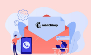 Pie Register MailChimp Addon GPL