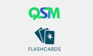 QSM Flashcards Addon GPL