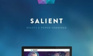 Salient Theme GPL – RESPONSIVE MULTI-PURPOSE THEME