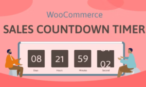 Sales Countdown Timer for WooCommerce and WordPress - Checkout Countdown