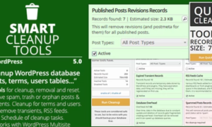 Smart Cleanup Tools Plugin for WordPress GPL