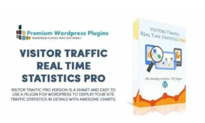 Visitor Traffic Real Time Statistics Pro GPL