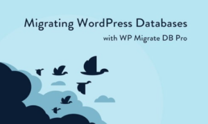 WP Migrate DB Pro GPL