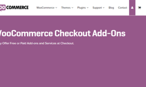 WooCommerce Checkout Addons GPL