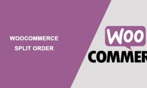 WooCommerce Split Orders