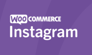 WooCommerce Instagram GPL