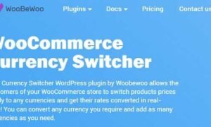 Woocurrency by Woobewoo PRO GPL